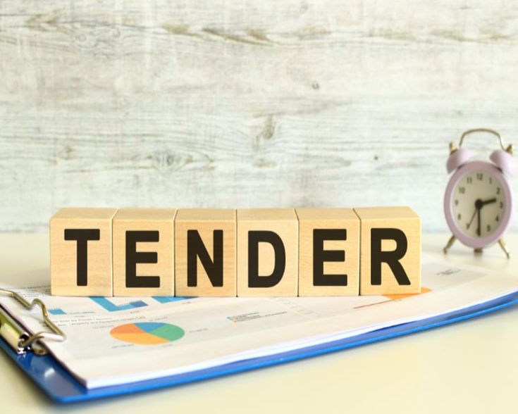 Government Tendering